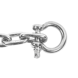 Schäkel Edelstahl geschweift mit einem Materialdurchmesser von 6mm