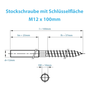 Technische Zeichnung der Edelstahl Stockschraube M12 mit 100mm